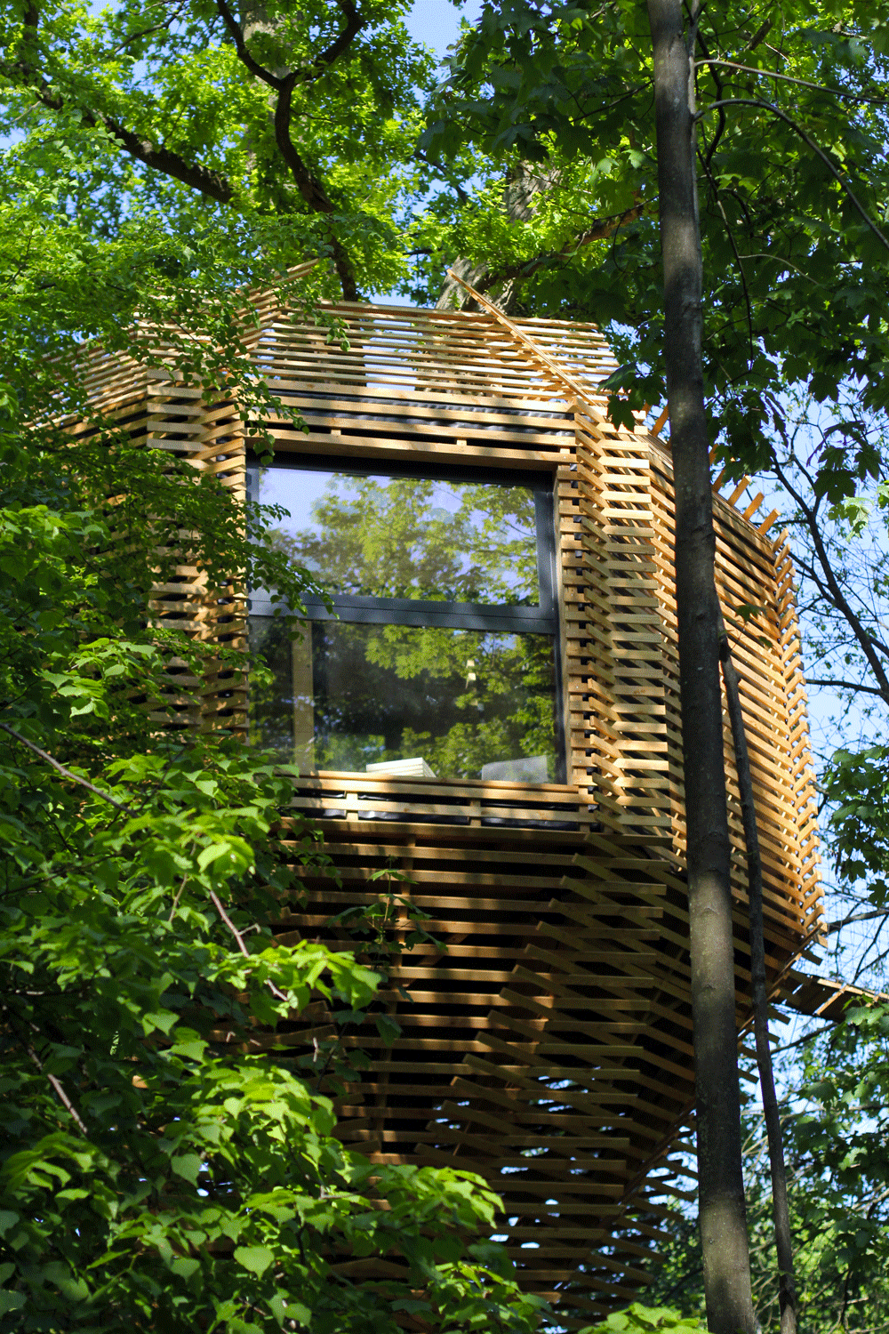 Vista exterior casa árbol