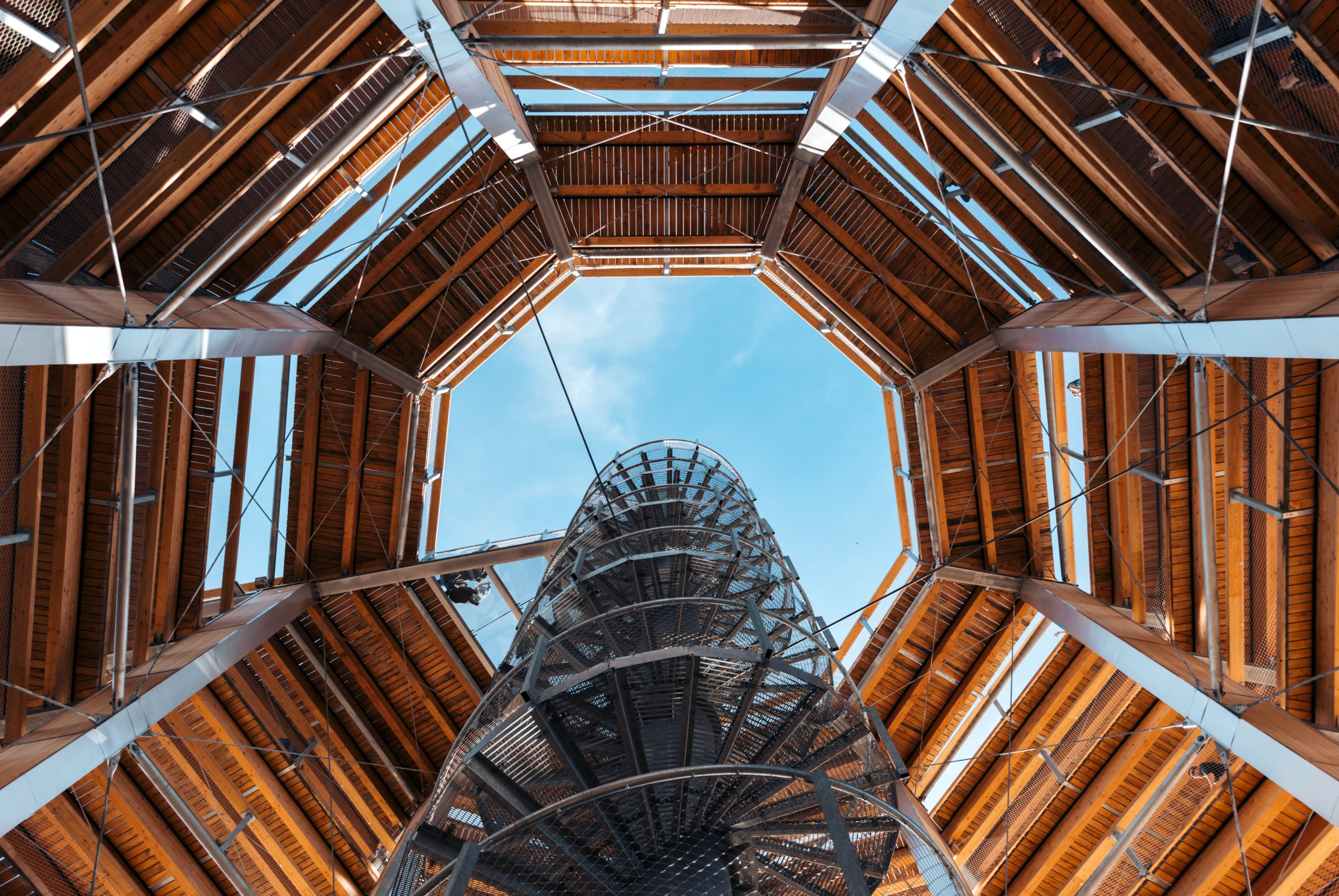 Arquitectura y construcción en la madera
